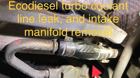 ecodiesel coolant